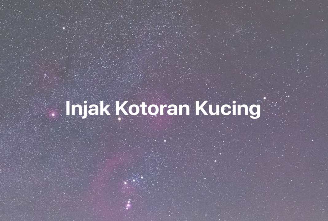 Gambar Mimpi Injak Kotoran Kucing