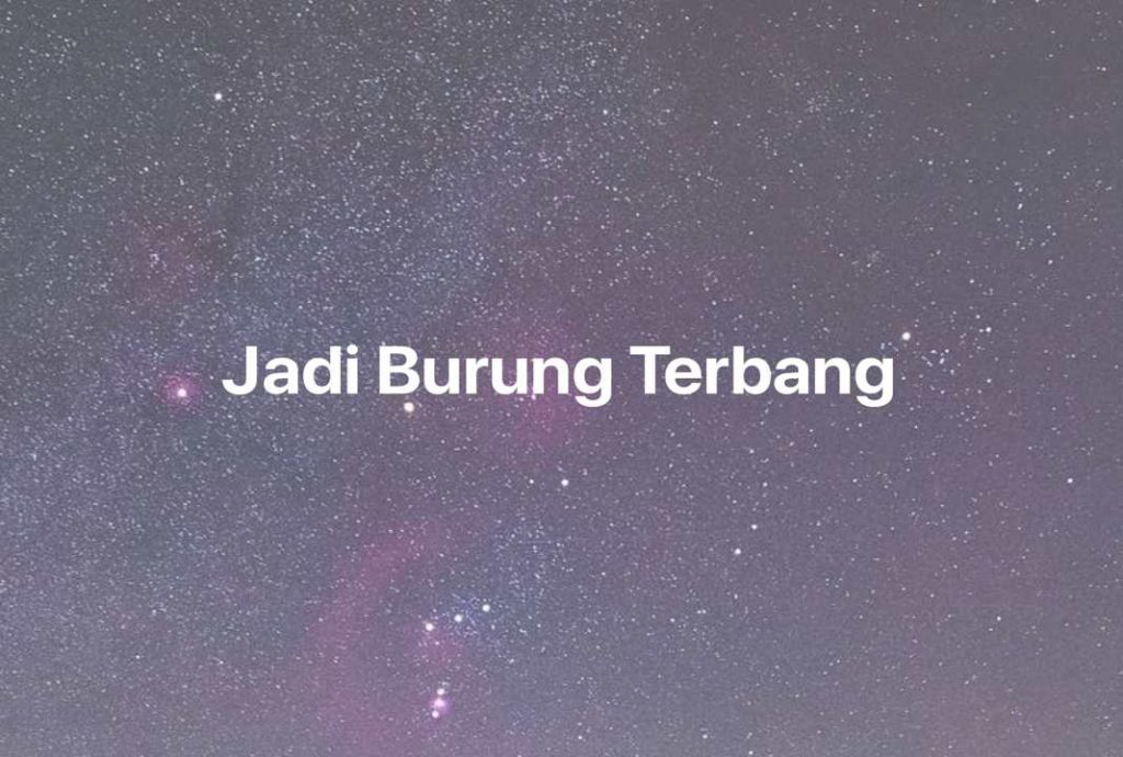 Gambar Mimpi Jadi Burung Terbang