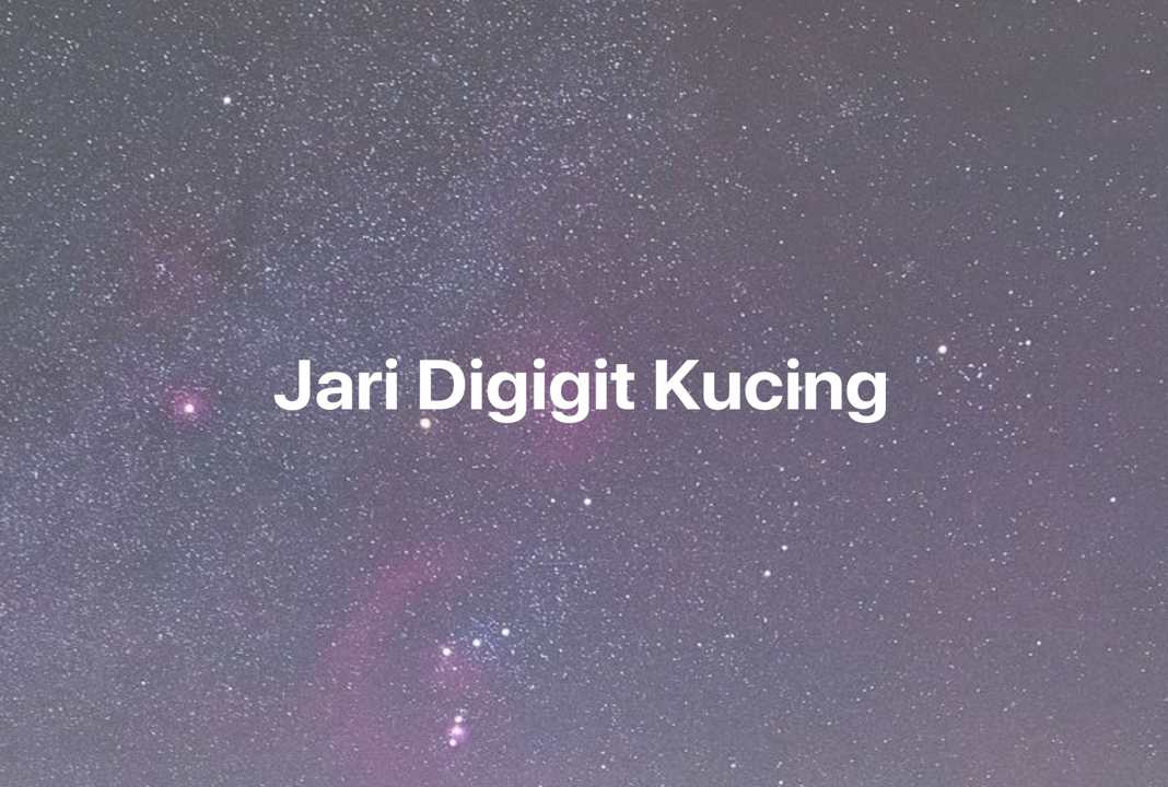 Gambar Mimpi Jari Digigit Kucing