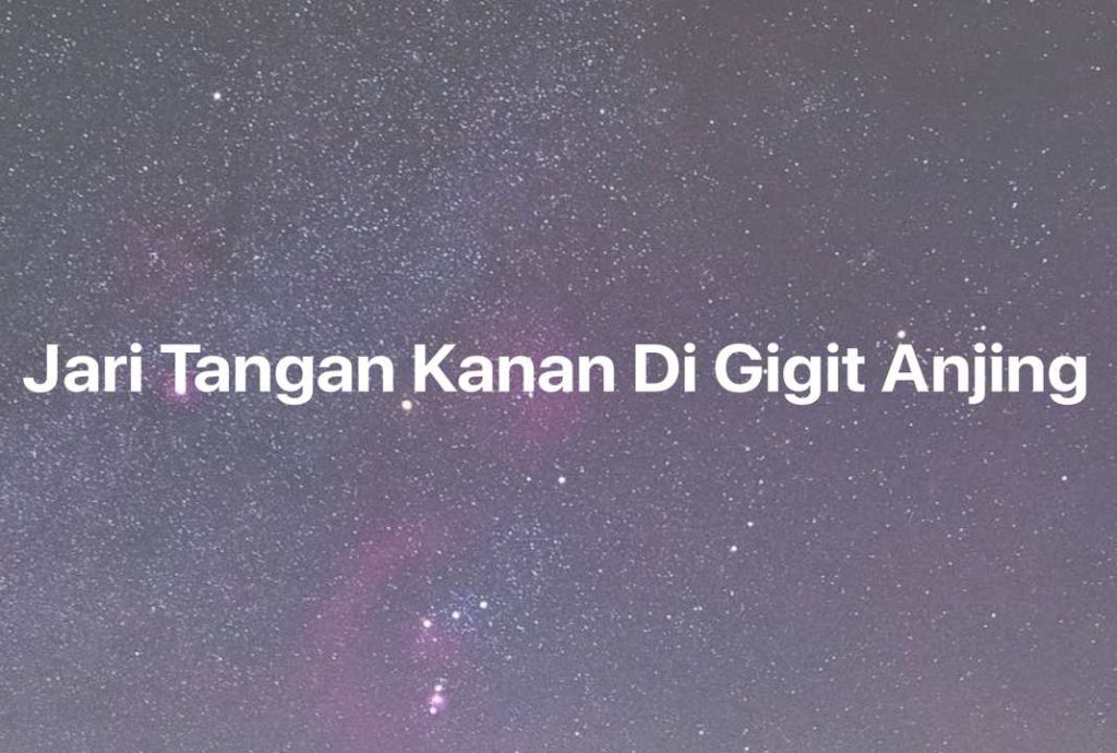 Gambar Mimpi Jari Tangan Kanan Di Gigit Anjing