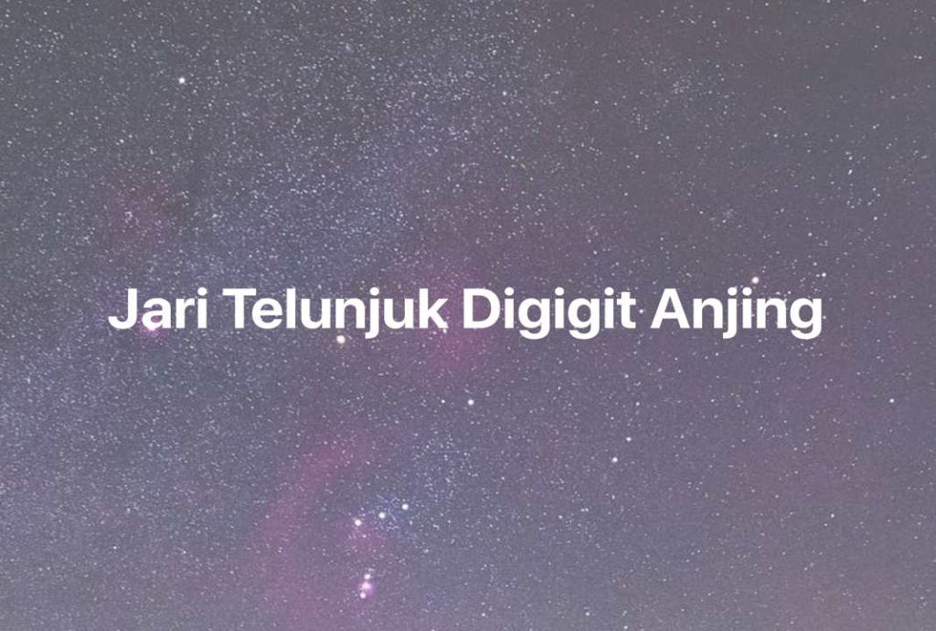 Gambar Mimpi Jari Telunjuk Digigit Anjing