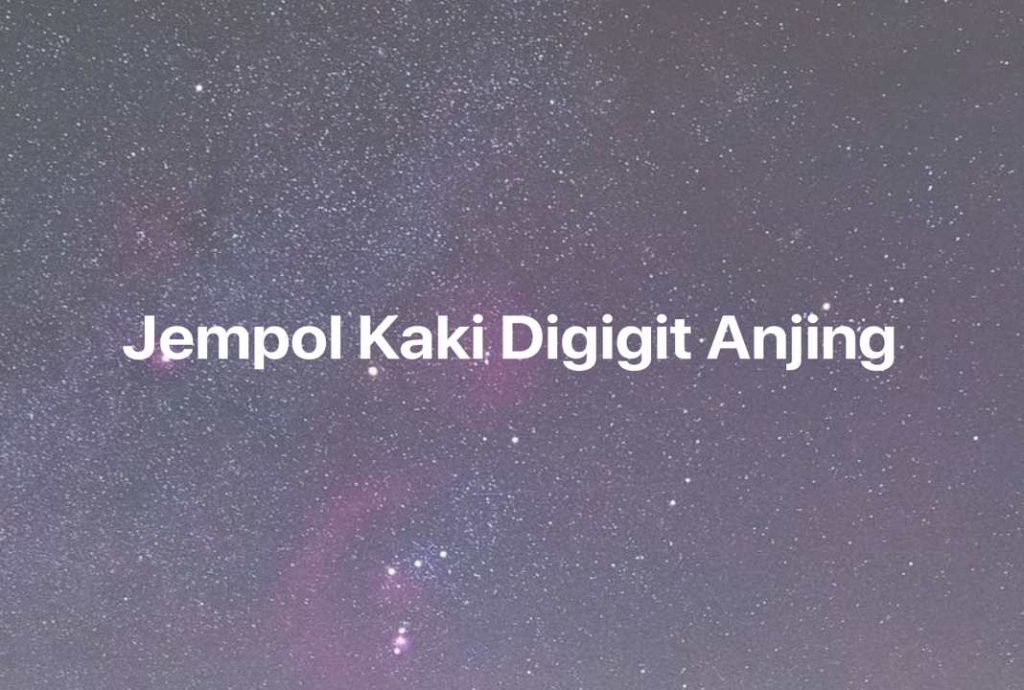 Gambar Mimpi Jempol Kaki Digigit Anjing