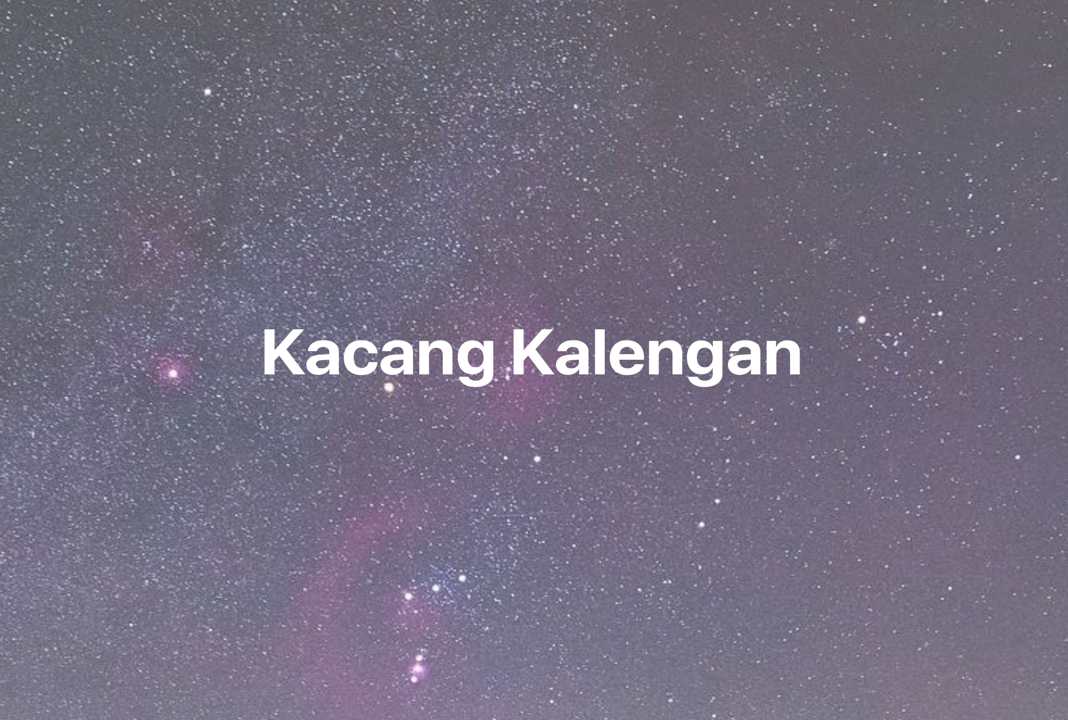 Gambar Mimpi Kacang Kalengan