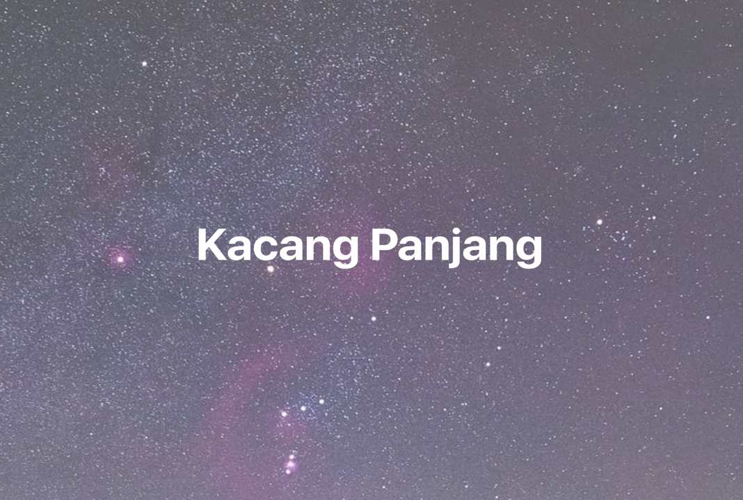 Gambar Mimpi Kacang Panjang