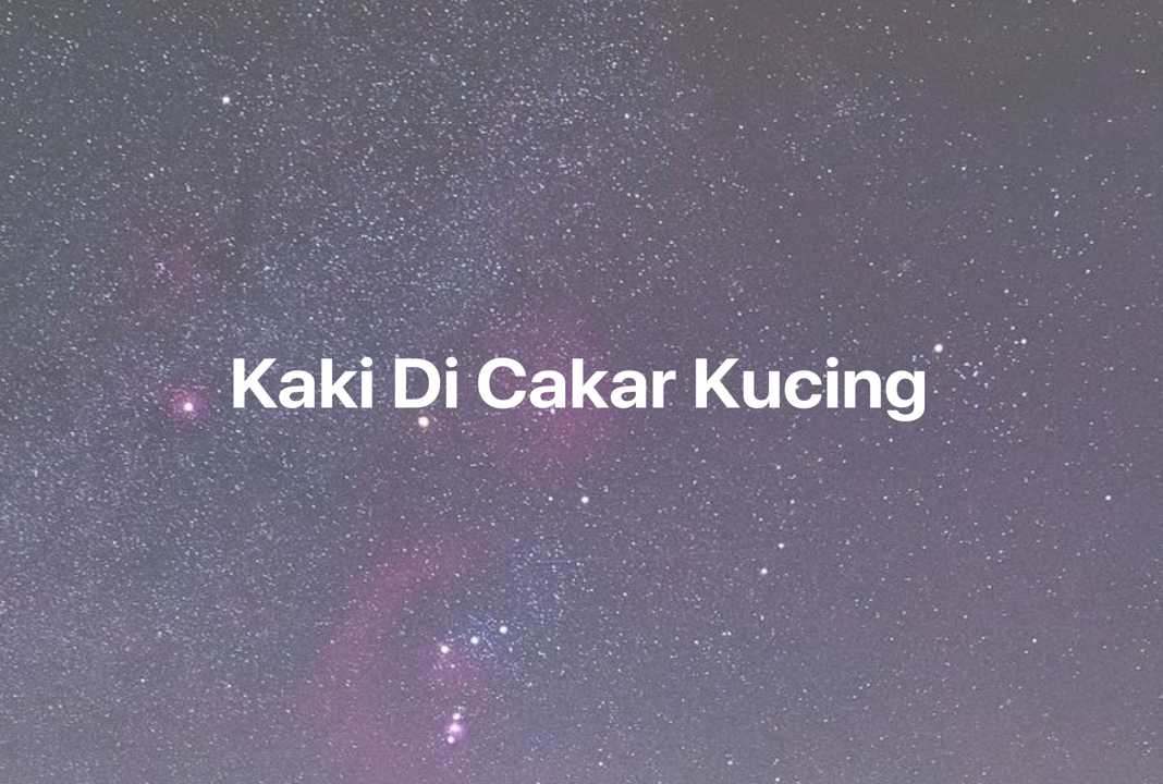 Gambar Mimpi Kaki Di Cakar Kucing