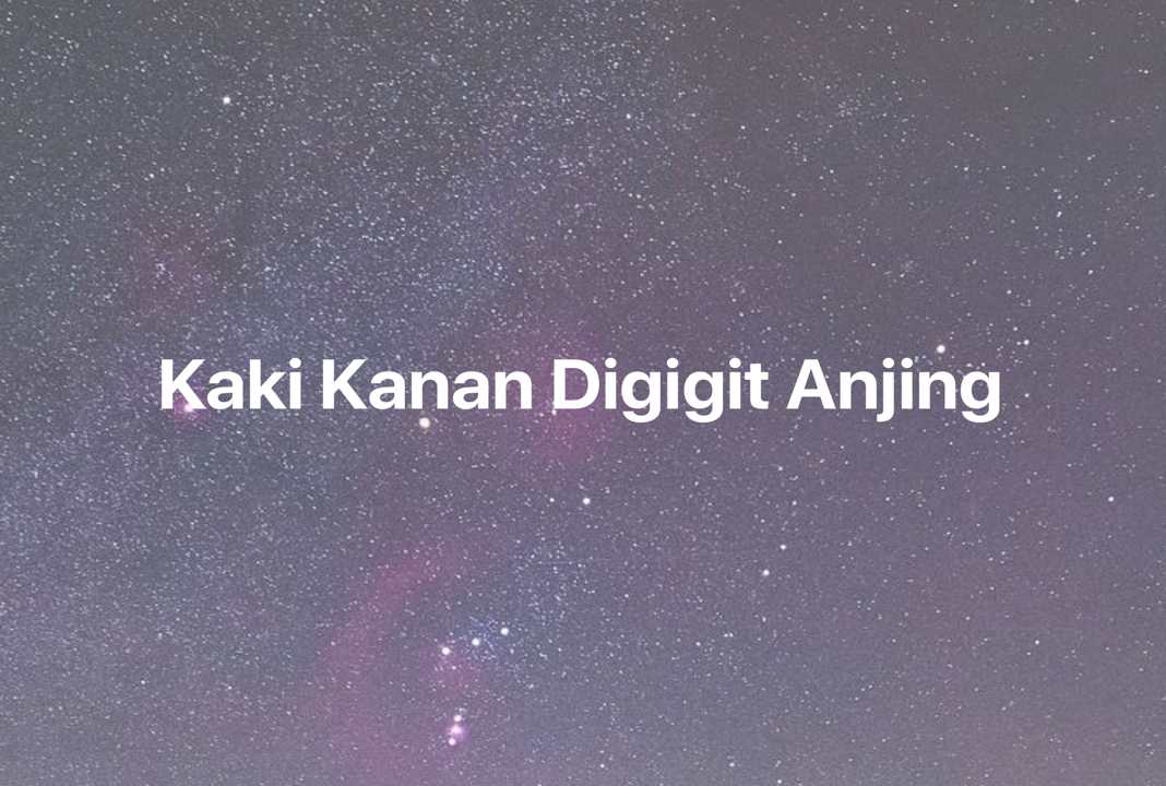 Gambar Mimpi Kaki Kanan Digigit Anjing