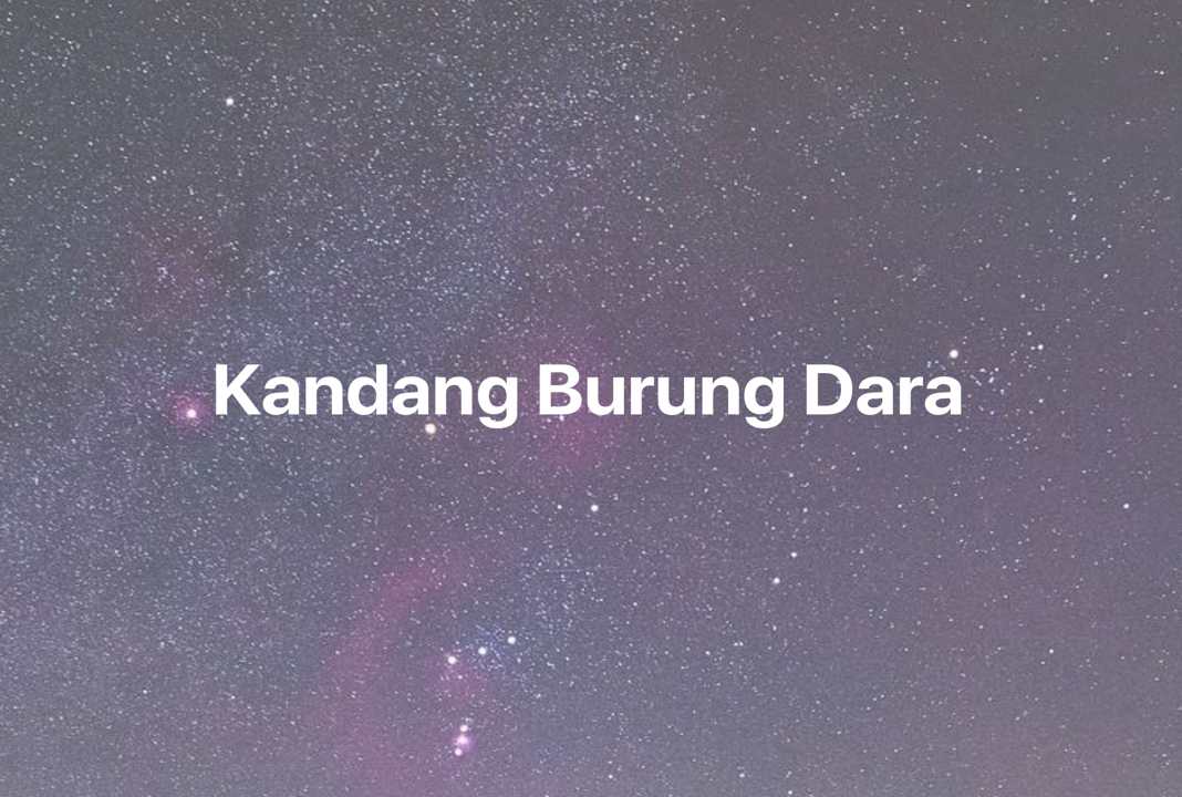 Gambar Mimpi Kandang Burung Dara