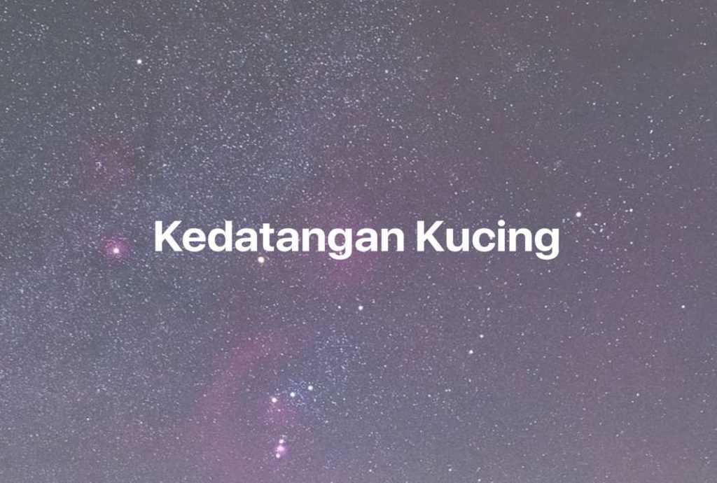 Gambar Mimpi Kedatangan Kucing