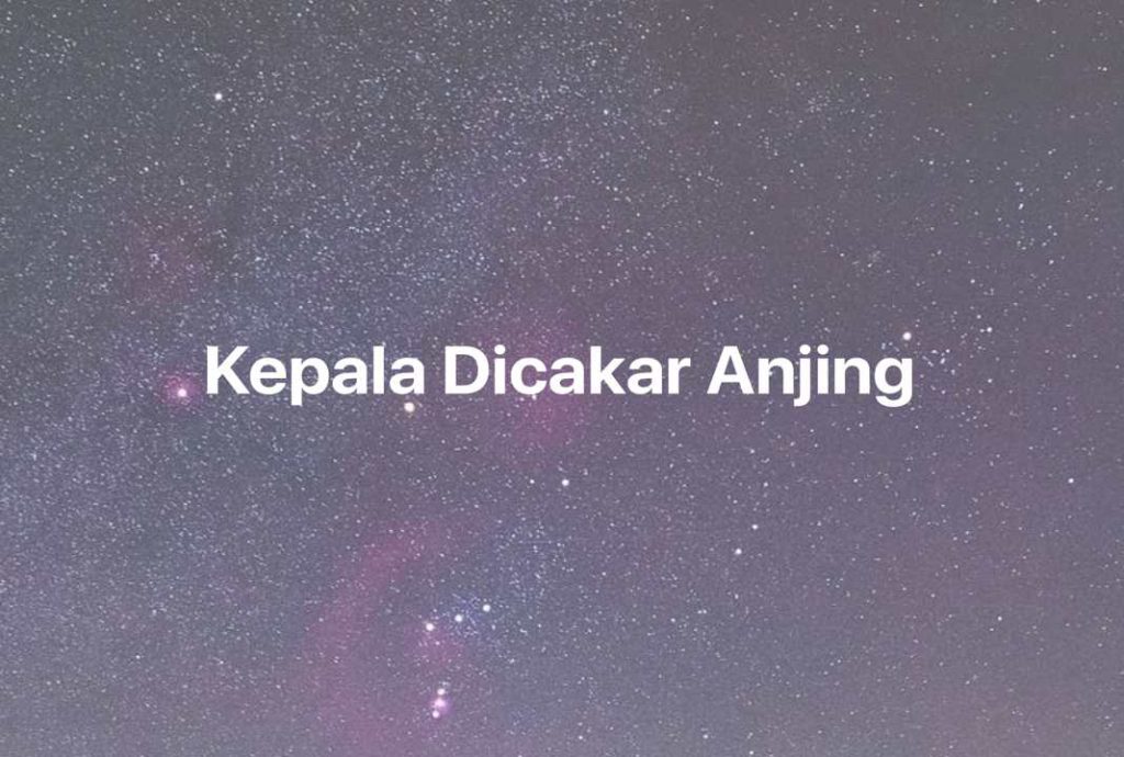 Gambar Mimpi Kepala Dicakar Anjing