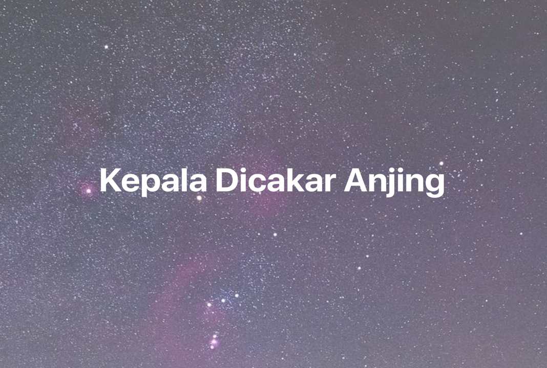 Gambar Mimpi Kepala Dicakar Anjing