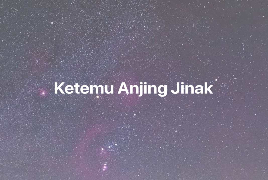 Gambar Mimpi Ketemu Anjing Jinak