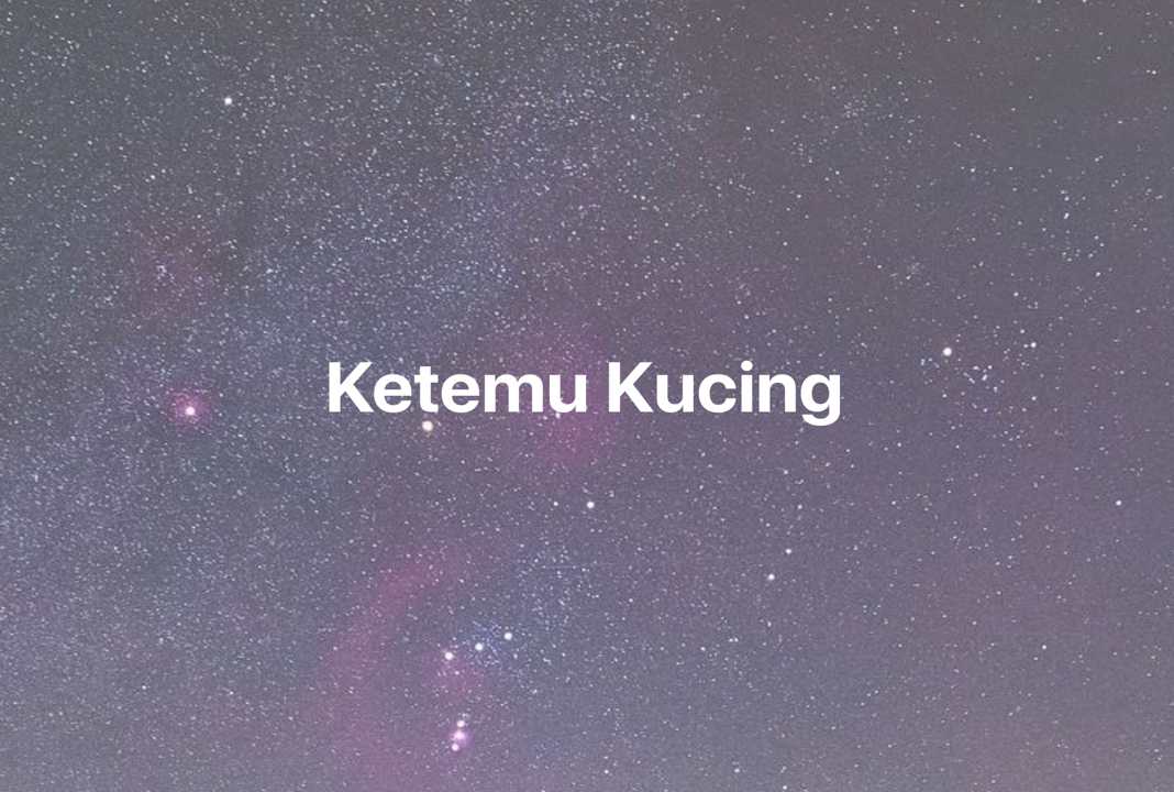 Gambar Mimpi Ketemu Kucing