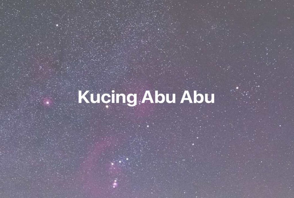 Gambar Mimpi Kucing Abu Abu