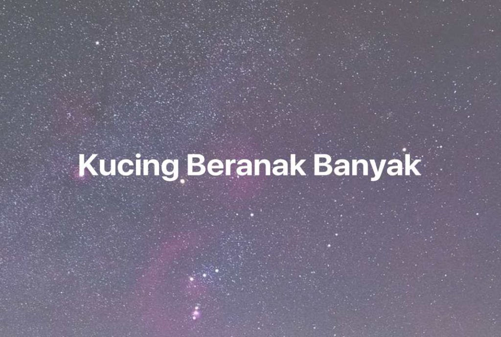 Gambar Mimpi Kucing Beranak Banyak