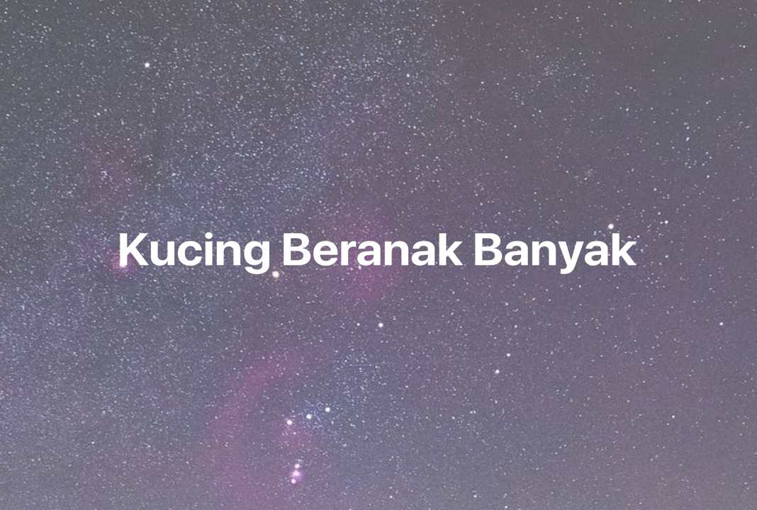 Gambar Mimpi Kucing Beranak Banyak