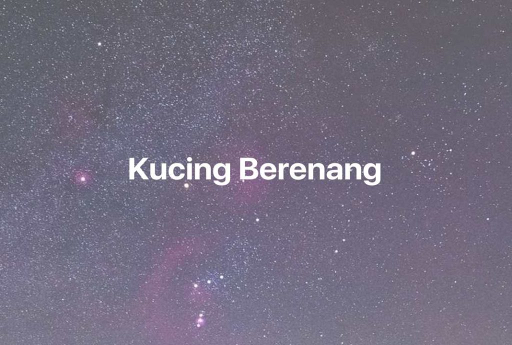 Gambar Mimpi Kucing Berenang