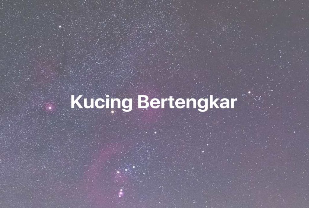 Gambar Mimpi Kucing Bertengkar