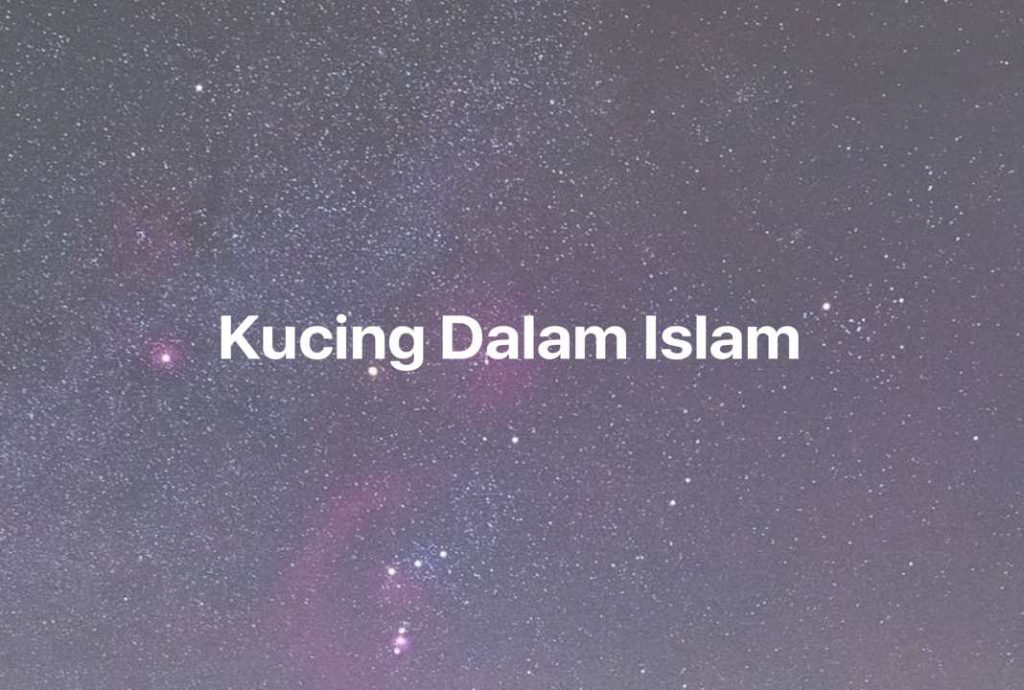 Gambar Mimpi Kucing Dalam Islam