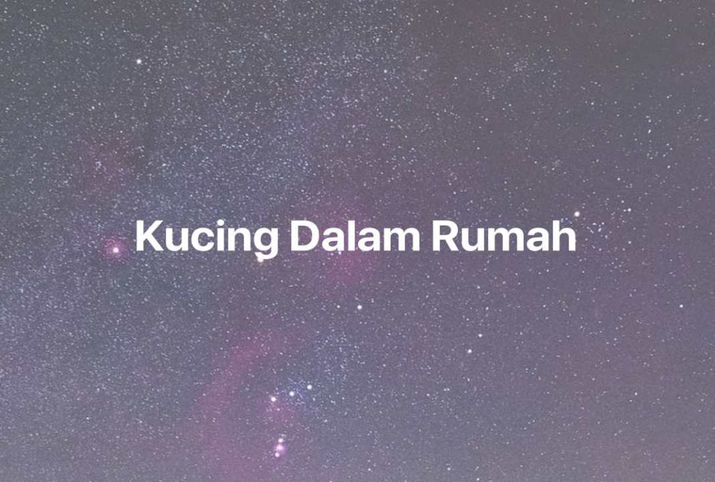 Gambar Mimpi Kucing Dalam Rumah