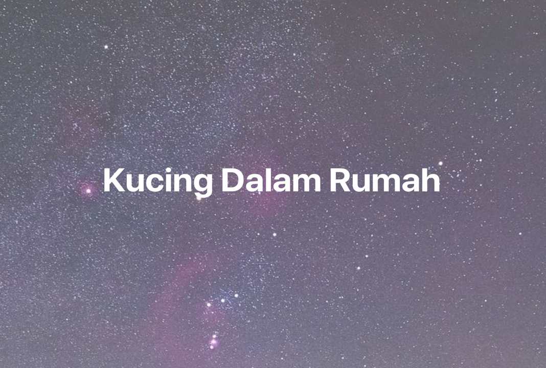 Gambar Mimpi Kucing Dalam Rumah