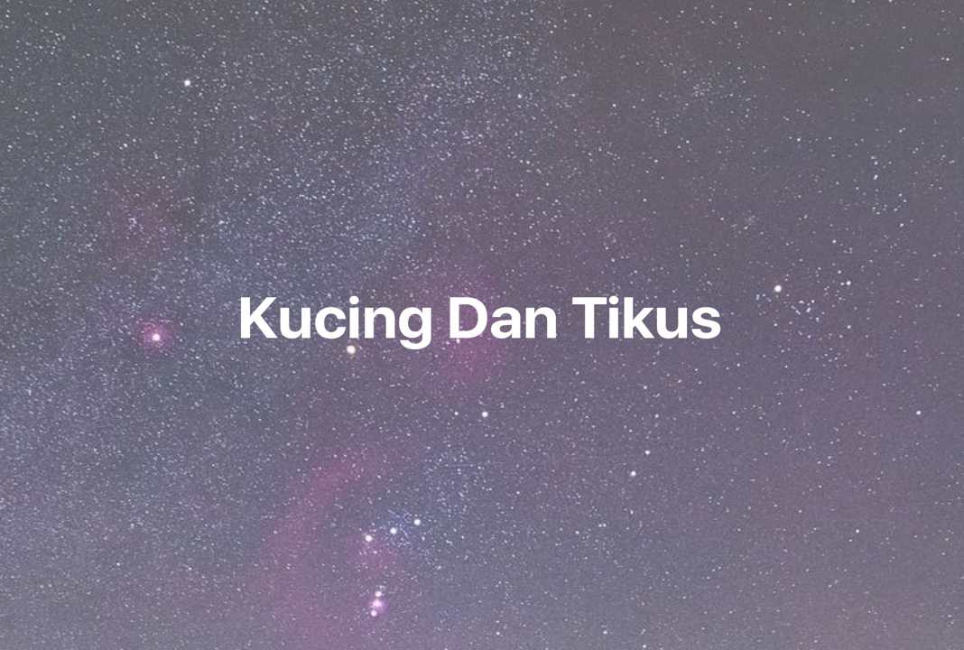 Gambar Mimpi Kucing Dan Tikus