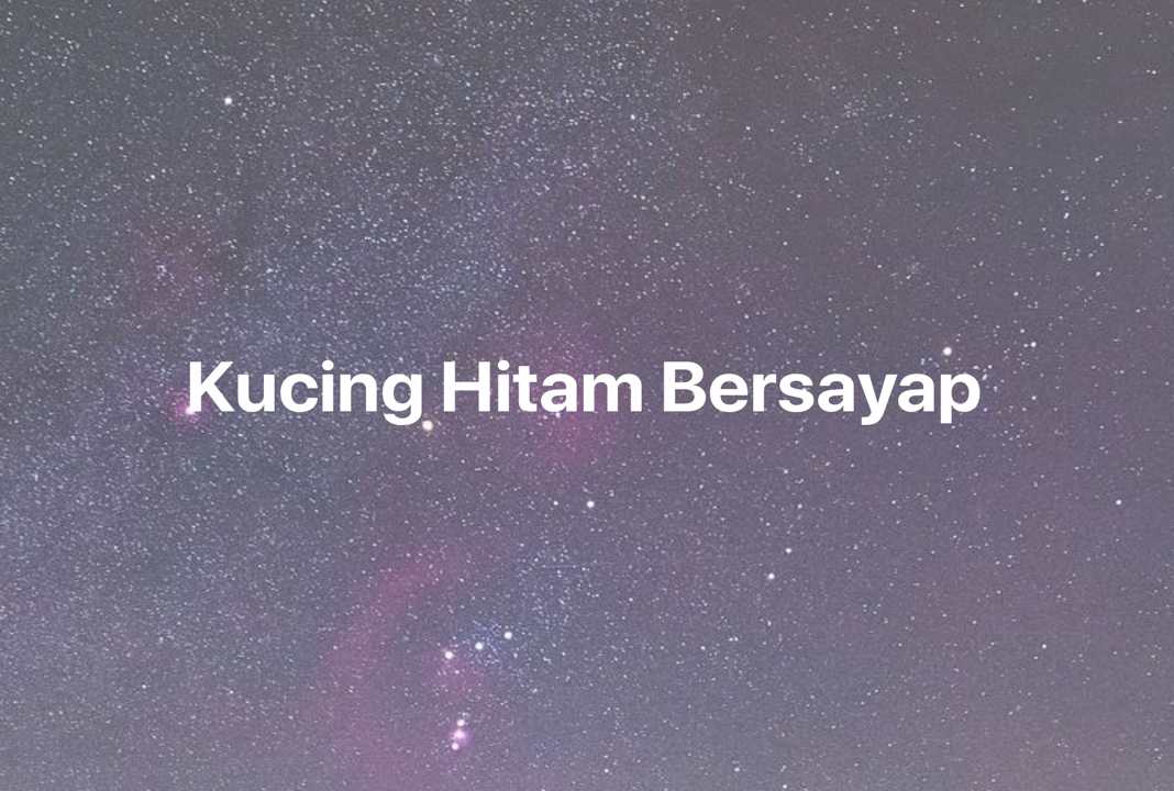 Gambar Mimpi Kucing Hitam Bersayap