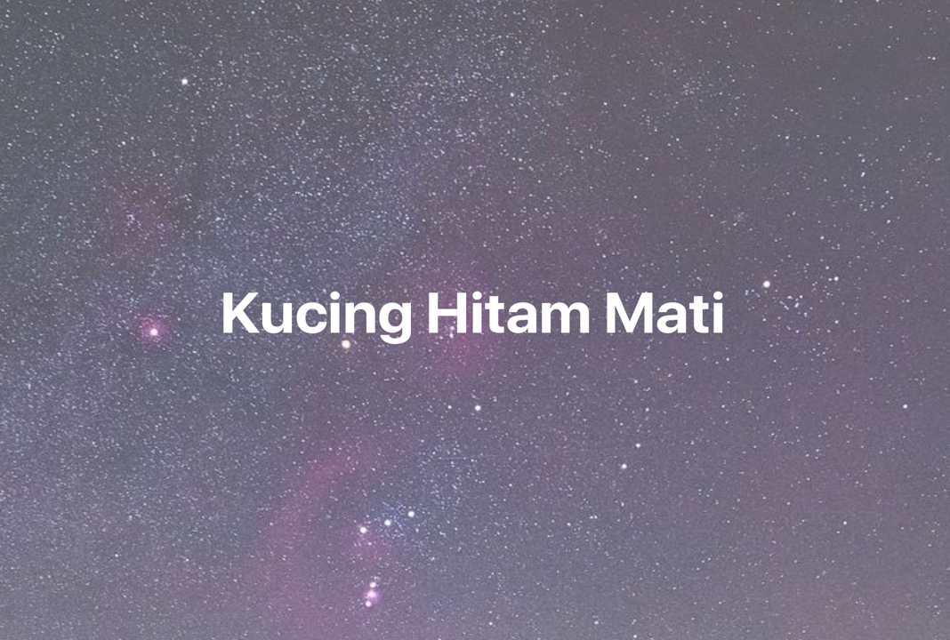 Gambar Mimpi Kucing Hitam Mati