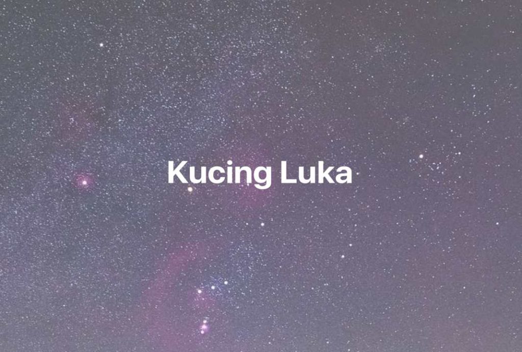 Gambar Mimpi Kucing Luka