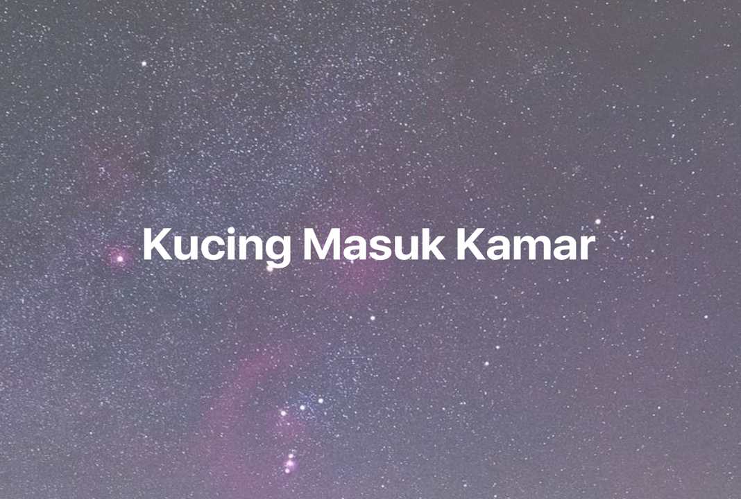 Gambar Mimpi Kucing Masuk Kamar