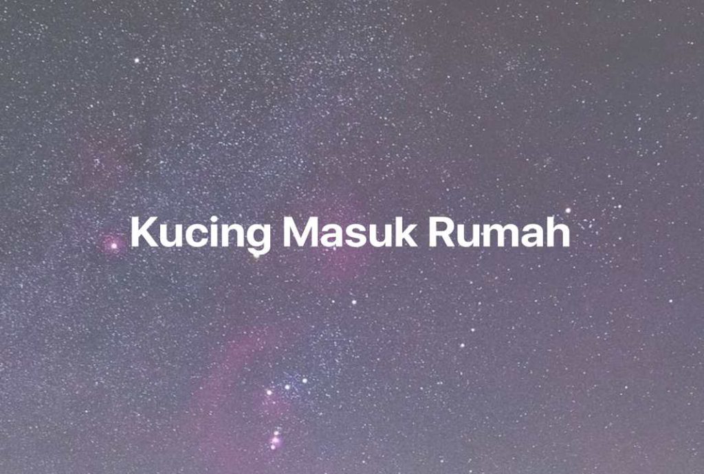 Gambar Mimpi Kucing Masuk Rumah