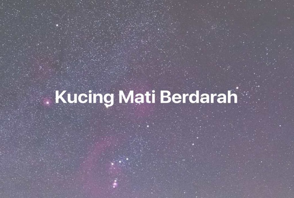 Gambar Mimpi Kucing Mati Berdarah