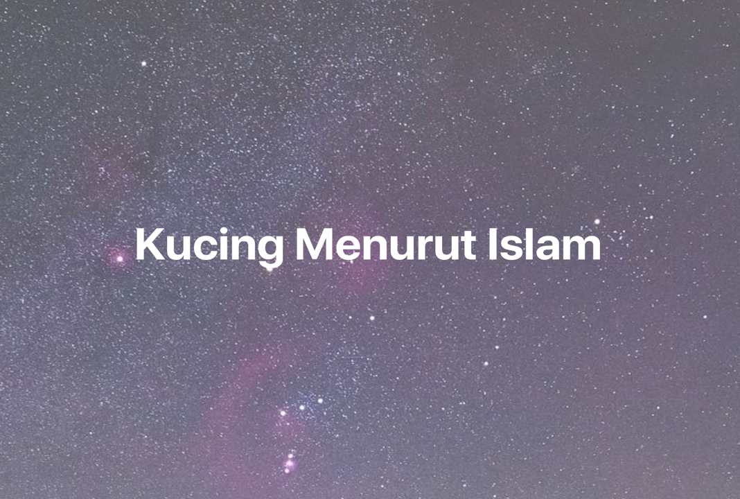 Gambar Mimpi Kucing Menurut Islam