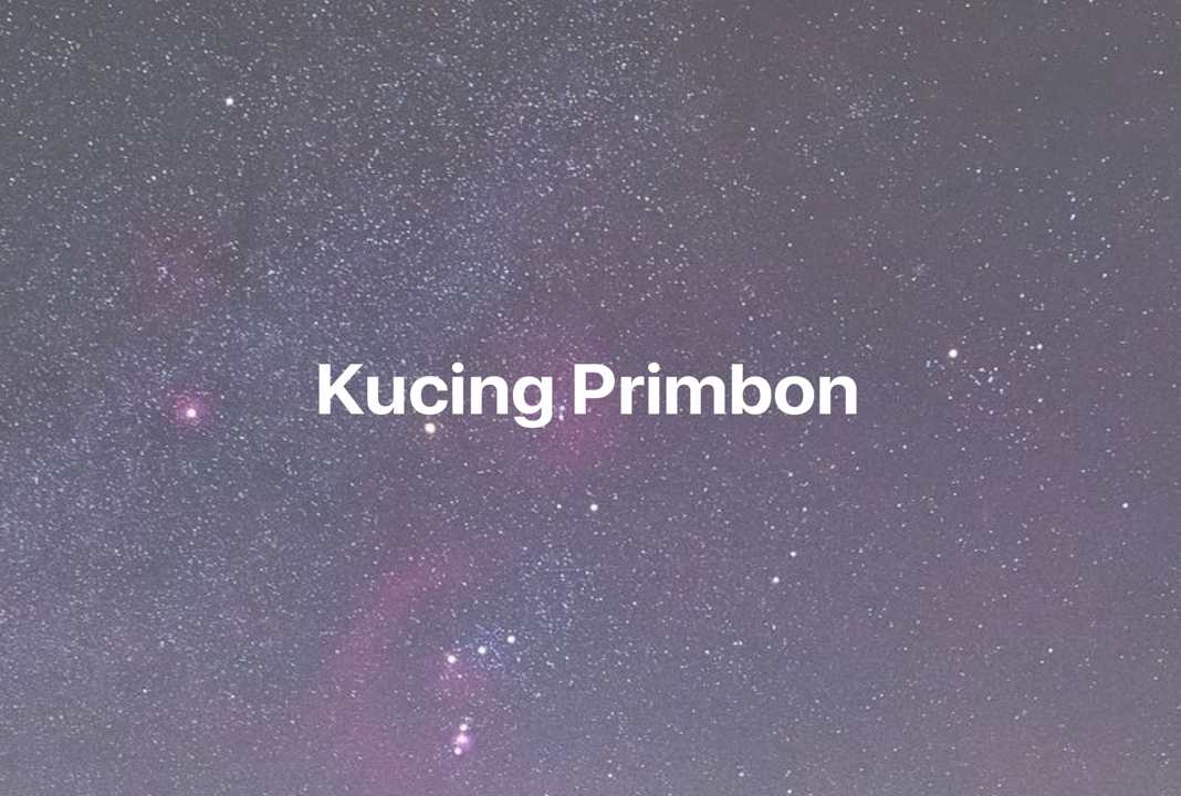 Gambar Mimpi Kucing Primbon