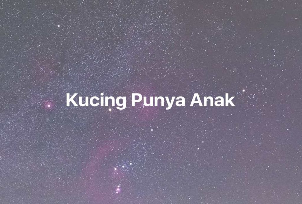 Gambar Mimpi Kucing Punya Anak