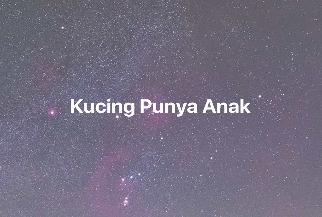 Gambar Mimpi Kucing Punya Anak