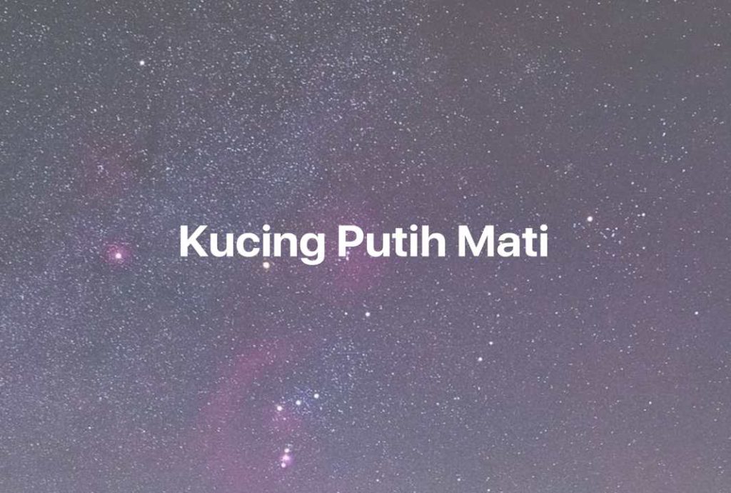 Gambar Mimpi Kucing Putih Mati