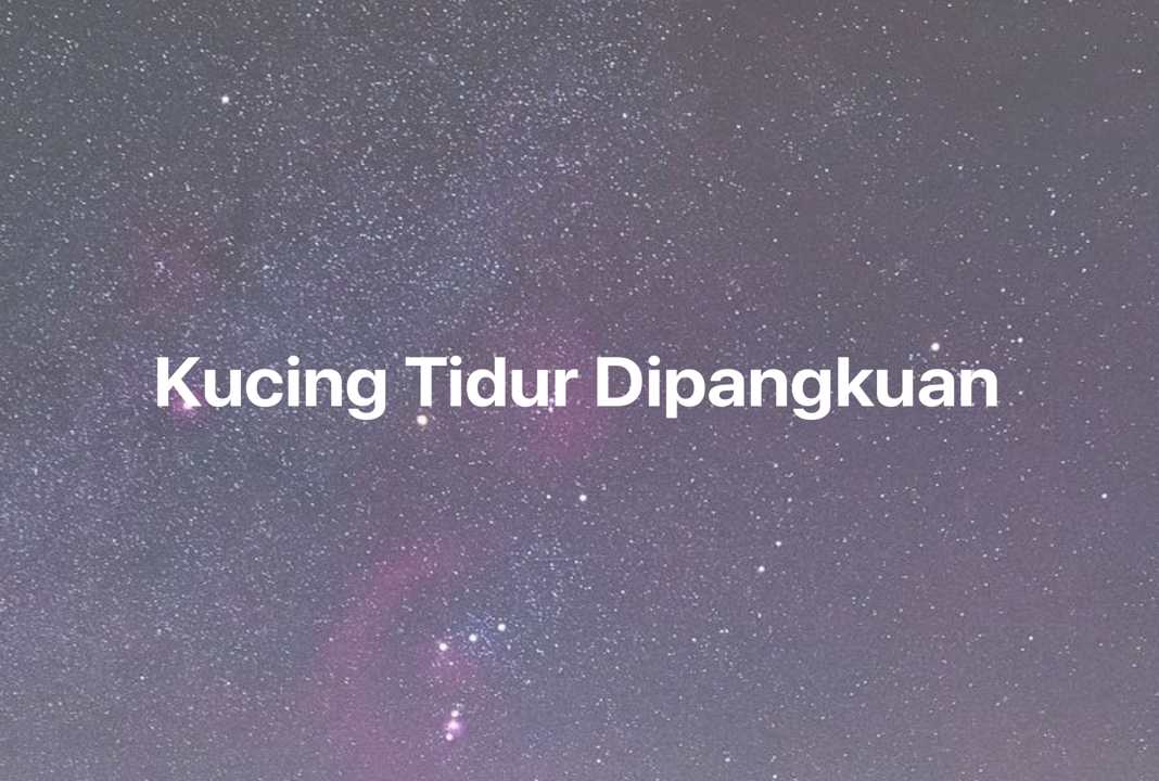 Gambar Mimpi Kucing Tidur Dipangkuan