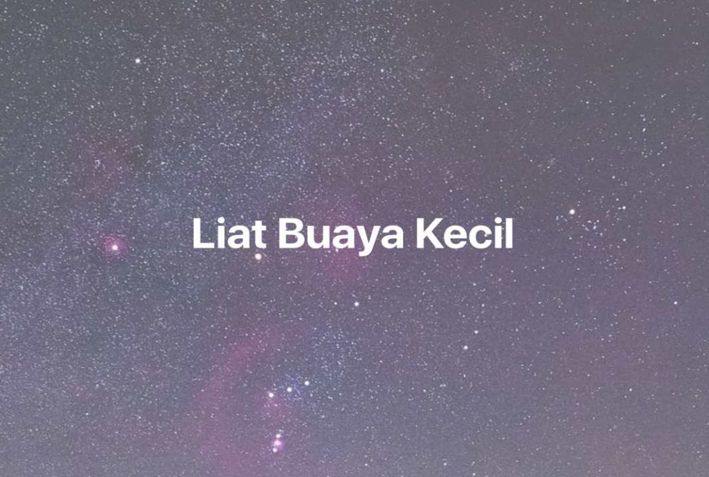 Gambar Mimpi Liat Buaya Kecil