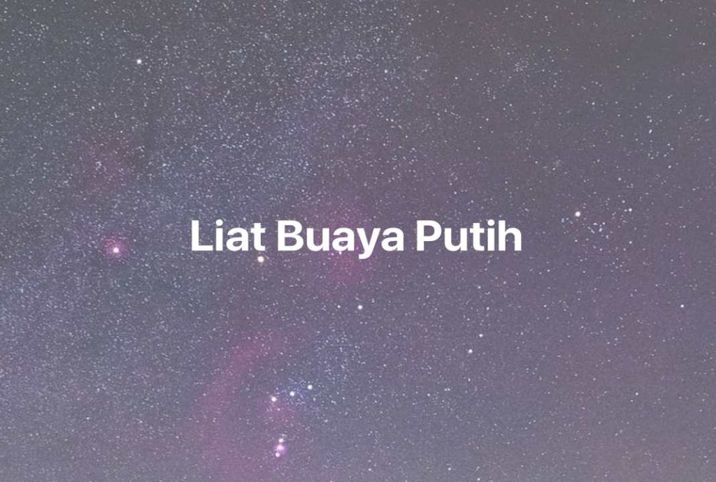 Gambar Mimpi Liat Buaya Putih