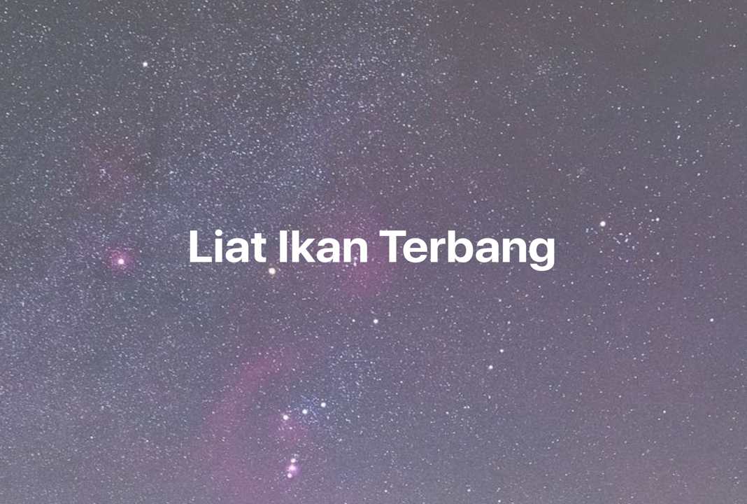 Gambar Mimpi Liat Ikan Terbang