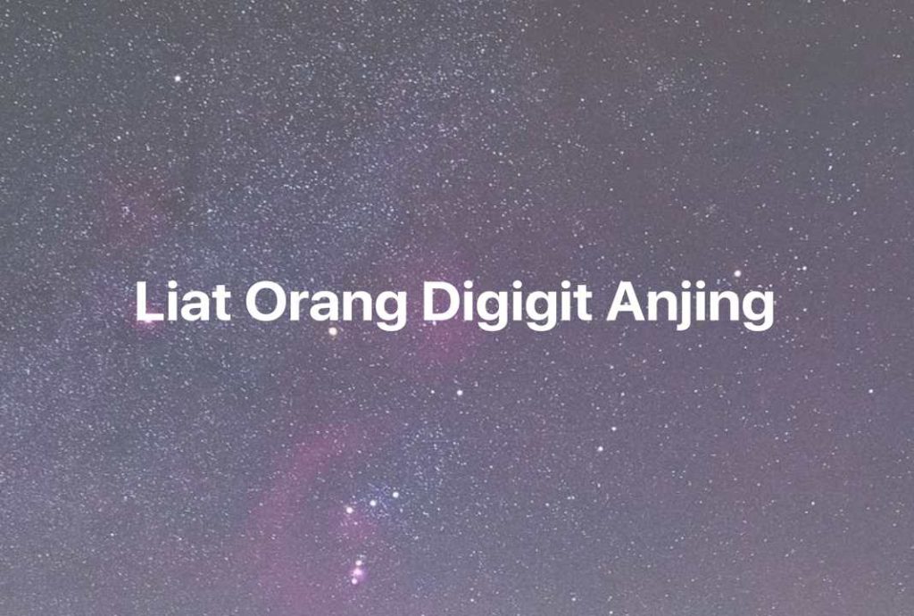 Gambar Mimpi Liat Orang Digigit Anjing