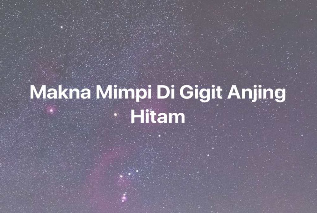 Gambar Mimpi Makna Mimpi Di Gigit Anjing Hitam