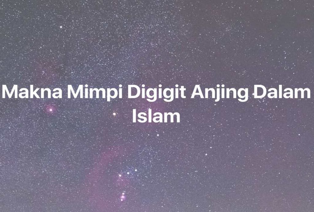 Gambar Mimpi Makna Mimpi Digigit Anjing Dalam Islam