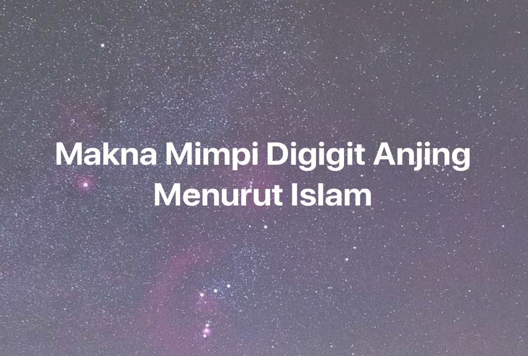 Gambar Mimpi Makna Mimpi Digigit Anjing Menurut Islam