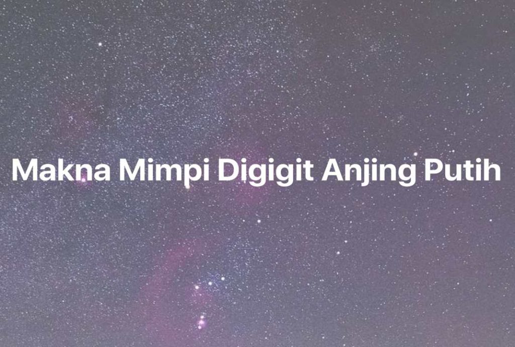 Gambar Mimpi Makna Mimpi Digigit Anjing Putih