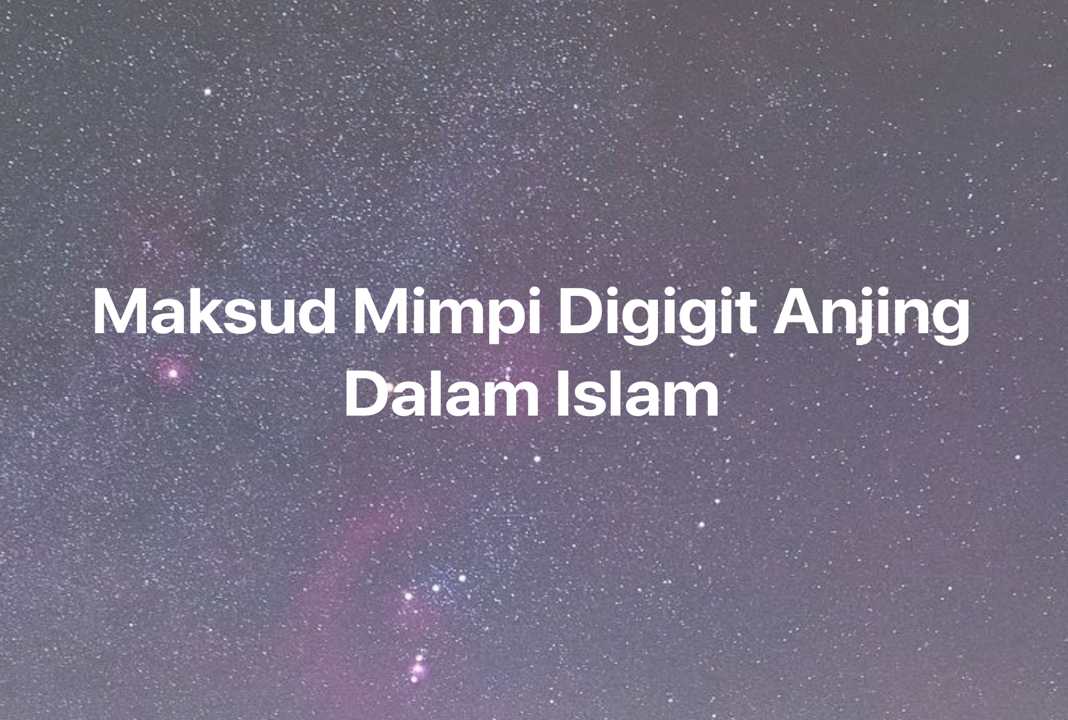 Gambar Mimpi Maksud Mimpi Digigit Anjing Dalam Islam