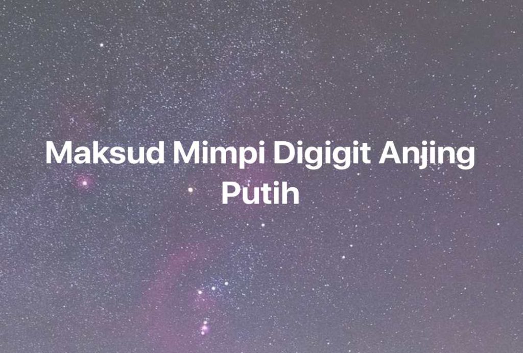 Gambar Mimpi Maksud Mimpi Digigit Anjing Putih