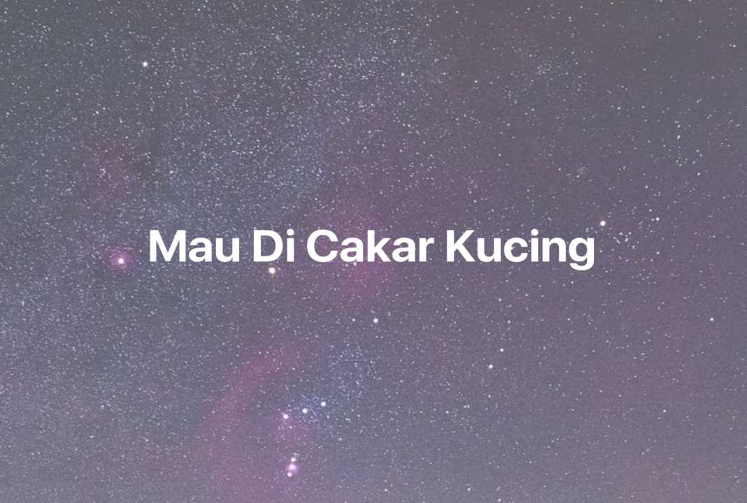 Gambar Mimpi Mau Di Cakar Kucing