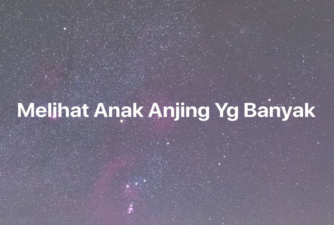 Gambar Mimpi Melihat Anak Anjing Yg Banyak