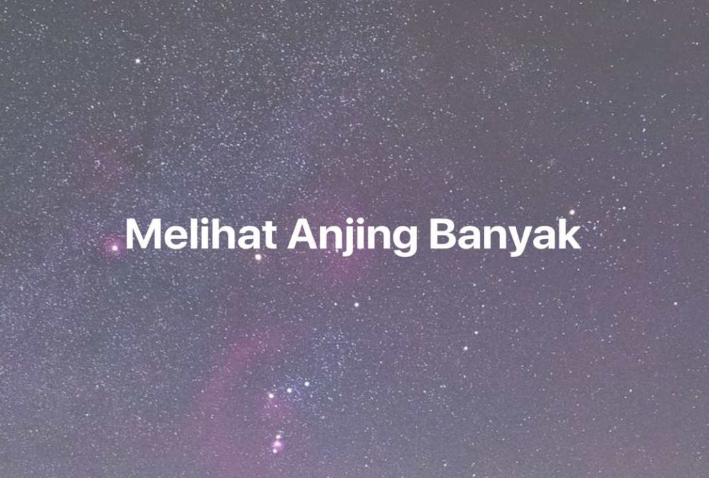 Gambar Mimpi Melihat Anjing Banyak